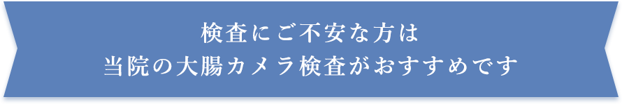 検査にご不安な方は当院の大腸カメラ検査がおすすめです